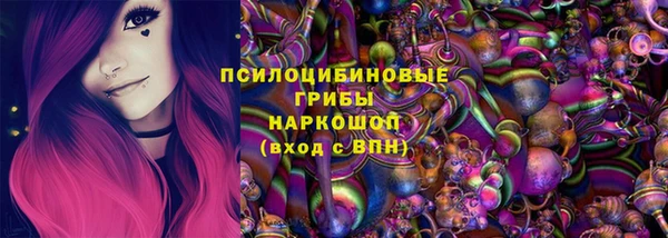 молекула духа Слюдянка