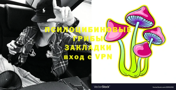 эйфоретик Арсеньев