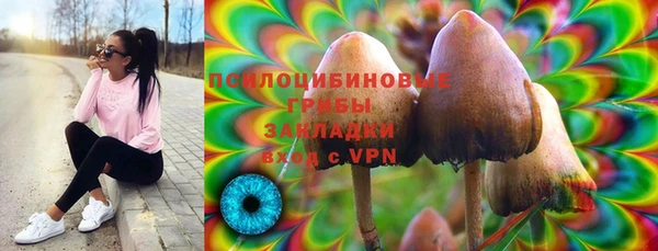 2c-b Балахна