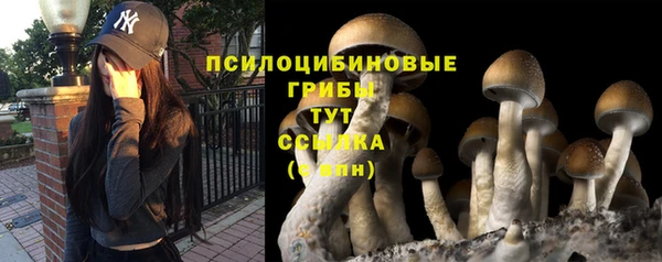 скорость Аркадак