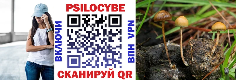 где можно купить   Белинский  Псилоцибиновые грибы Magic Shrooms 
